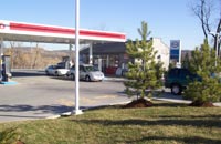 Please click the image for a larger view